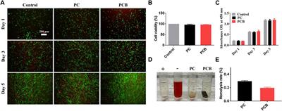 Integration of BMP-2/PLGA microspheres with the 3D printed PLGA/CaSO4 scaffold enhances bone regeneration